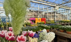 News image: Terugblik: CNB Bol-op-potdagen zetten het voorjaar stralend in!